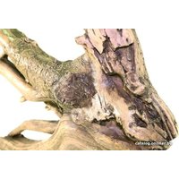 Декорация DekSi Коряга №742