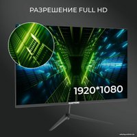 Игровой монитор Hartens HTM24Z165 в Борисове