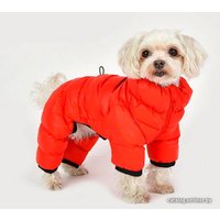 Комбинезон для животных Puppia Jumpesuit B PAPD-JM1673-RD-XL (красный)