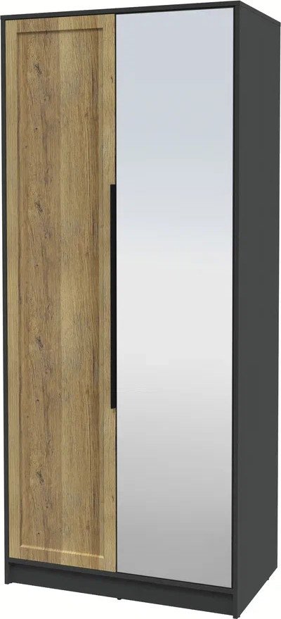 

Шкаф распашной Интерлиния Концепт Тренд КТ-Ш2(з) (антрацит/дуб вотан)