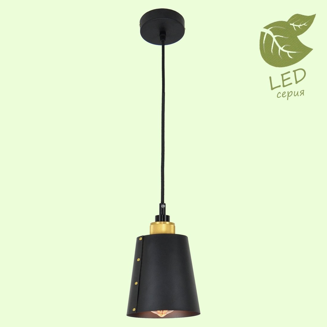 

Светильник Lussole LOFT GRLSP-9861