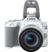 Зеркальный фотоаппарат Canon EOS 250D Kit 18-55 IS STM (белый)