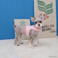 Шлейка-жилетка Pinkaholic Joceline NARD-HJ7363-IP-L (розовый)