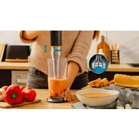 Погружной блендер Cecotec Katana 15 TotalDestroy Jar B