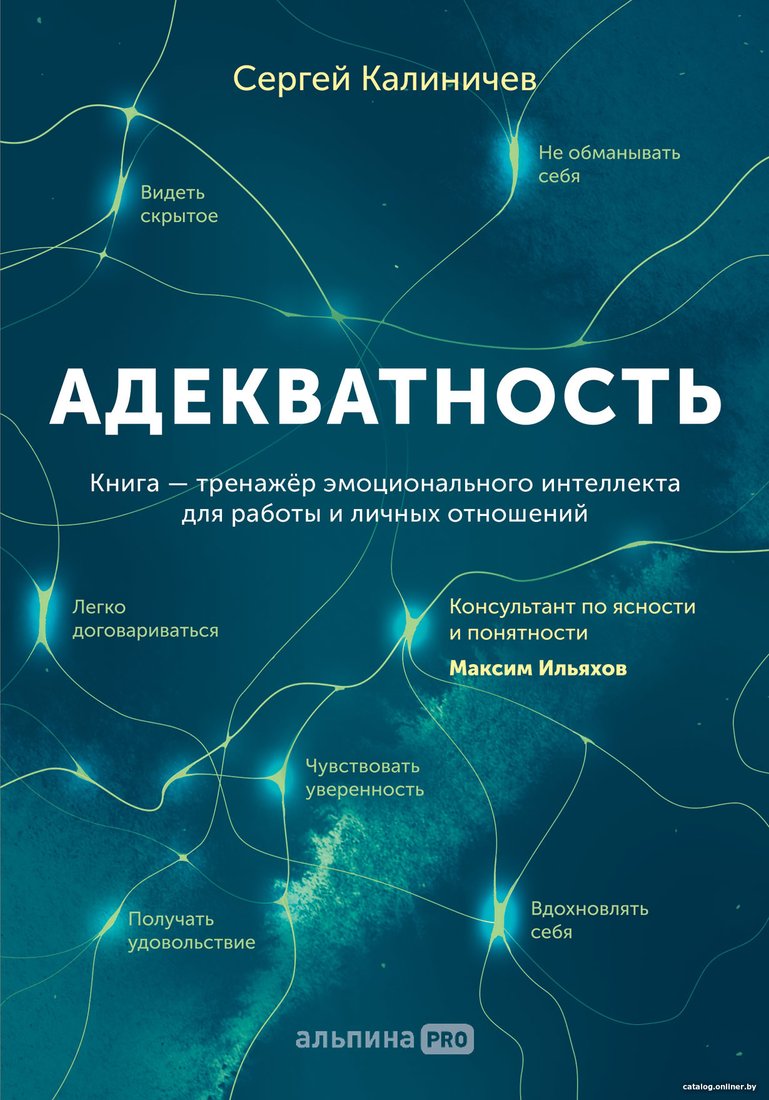 Книга издательства Альпина Диджитал. Адекватность. Как видеть суть происходящего (Калиничев С.)
