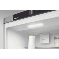 Холодильник Liebherr ICNe 5103 Pure NoFrost