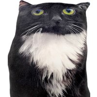 Игрушка-подушка Мальвина Чмоня кот мем 9.439.1