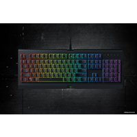 Клавиатура Razer Cynosa Chroma