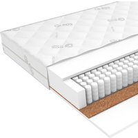 Матрас ЭОС Идеал 1а/2 160x200+Samsara Одуванчики Dark Евро 220-24 в Бобруйске