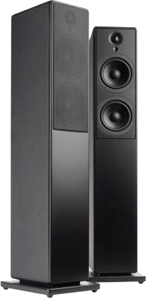 

Напольная акустика Blue Aura WS90t (черный)