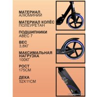 Двухколесный подростковый самокат Megacity Paris 2K-14