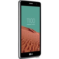 Телефон LG Max (X155) Titan