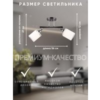 Припотолочная люстра Aitin Pro НПБ 02-2x60-101 N5959/2 (кофе/хром)