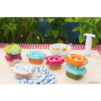 Набор контейнеров Status VAC-Baby