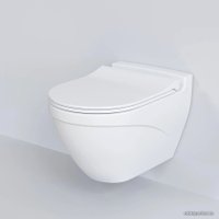 Сиденье для унитаза Ambassador Nord 132T20101S (белый матовый)