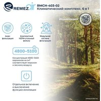 Климатический комплекс Remezair RMCH-403-02