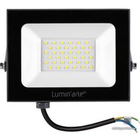 Уличный прожектор Luminarte LFL-50W/05