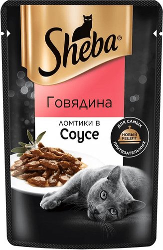 shlomg075