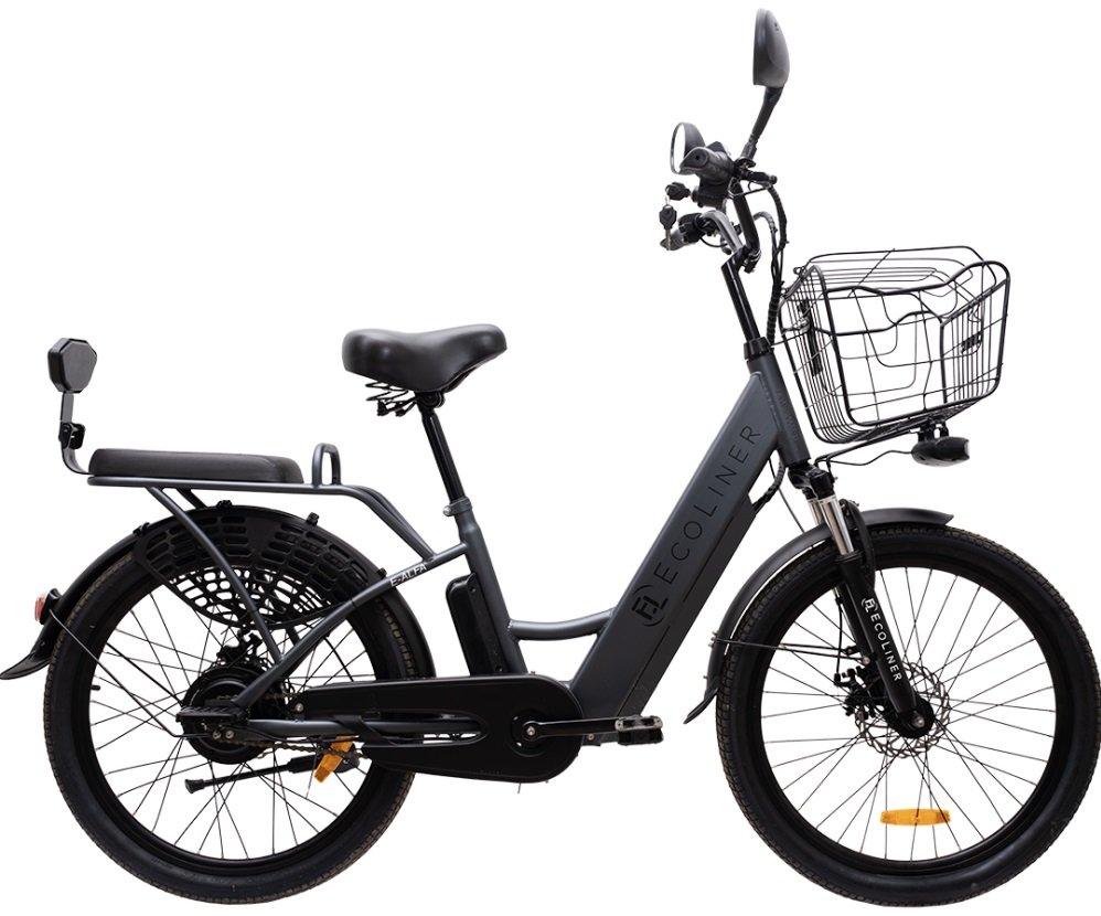

Электровелосипед Ecoliner E-Alfa 24 240Вт 36В 10.4А/ч (черный)