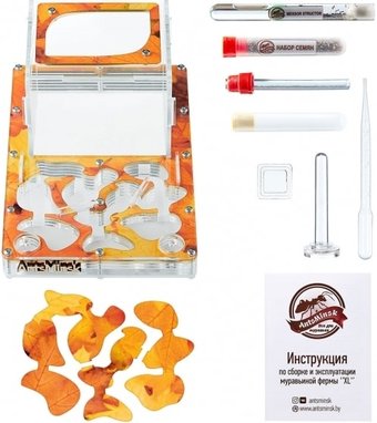 Формикарий AntsMinsk Стартовый комплект XXL Autumn