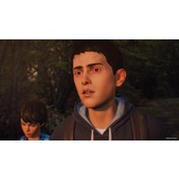  Life is Strange 2: Полное издание для PlayStation 4