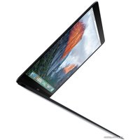 Ноутбук Apple MacBook (2016 год) [MLH72]