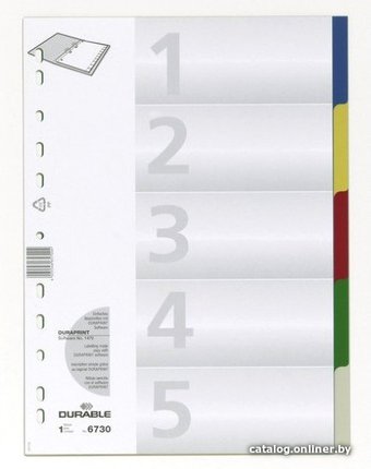 Разделитель документов Durable 673027 (ассорти)