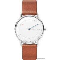 Наручные часы Skagen SKW6487