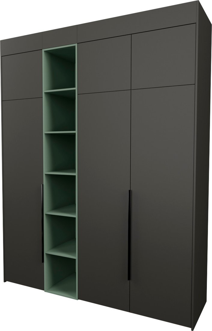 

Шкаф распашной Рэйгрупп Рэй S257-В8-1-WKZ В8-1 (дуб веллингтон/кобальт/зеленый самшит)