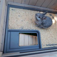 Клетка Ferplast Ranch 100 Basic 57090011