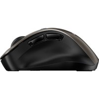 Мышь Genius Ergo 9000S (титановый)