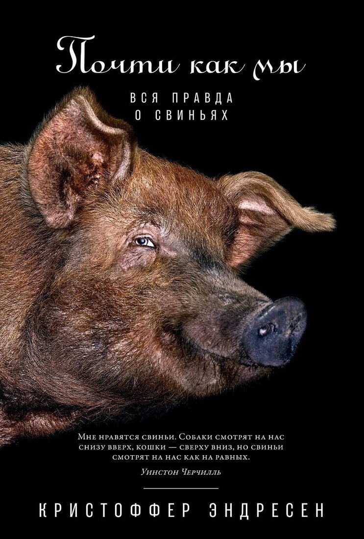 

Книга издательства Альпина Диджитал. Почти как мы: Вся правда о свиньях (Эндресен К.)