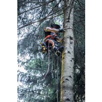 Аккумуляторная пила DeWalt DCMCST635X1 (с 1-им АКБ)