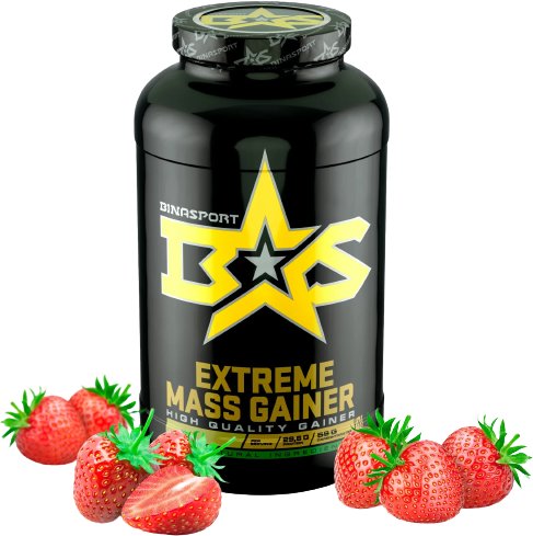 

Протеин сывороточный (концентрат) Binasport Extreme Mass Gainer (1500г, клубника)