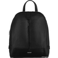 Городской рюкзак Cedar Rovicky R-PL-6014 (черный)