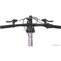 Детский велосипед Maxiscoo 5Bike 20 L 2024 (розовый сапфир)