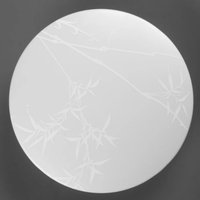  General Lighting Reed GSMCL-019-12 800256