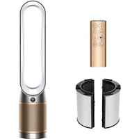 Климатический комплекс Dyson Purifier Cool PC2 De-NOx в Бобруйске