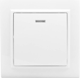 Выключатель EKF Basic Минск ERV10-121-10