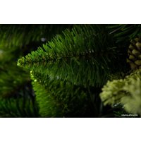 Сосна GreenTerra Рапсодия зеленая 2.2 м