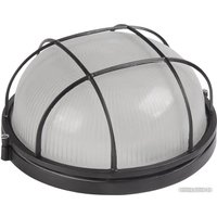 Уличный настенный светильник IEK НПП1102 LNPP0-1102-1-100-K02