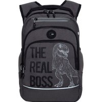 Школьный рюкзак Grizzly RB-450-3f (серый)