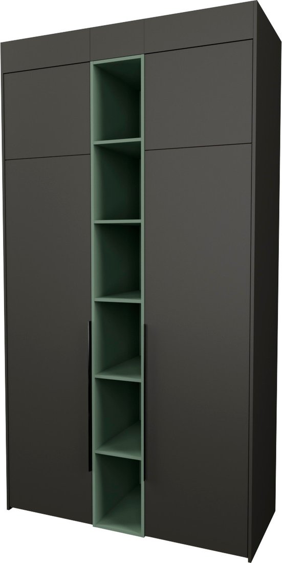 

Шкаф распашной Рэйгрупп Рэй S257-В4-WKZ В4 (дуб веллингтон/кобальт/зеленый самшит)