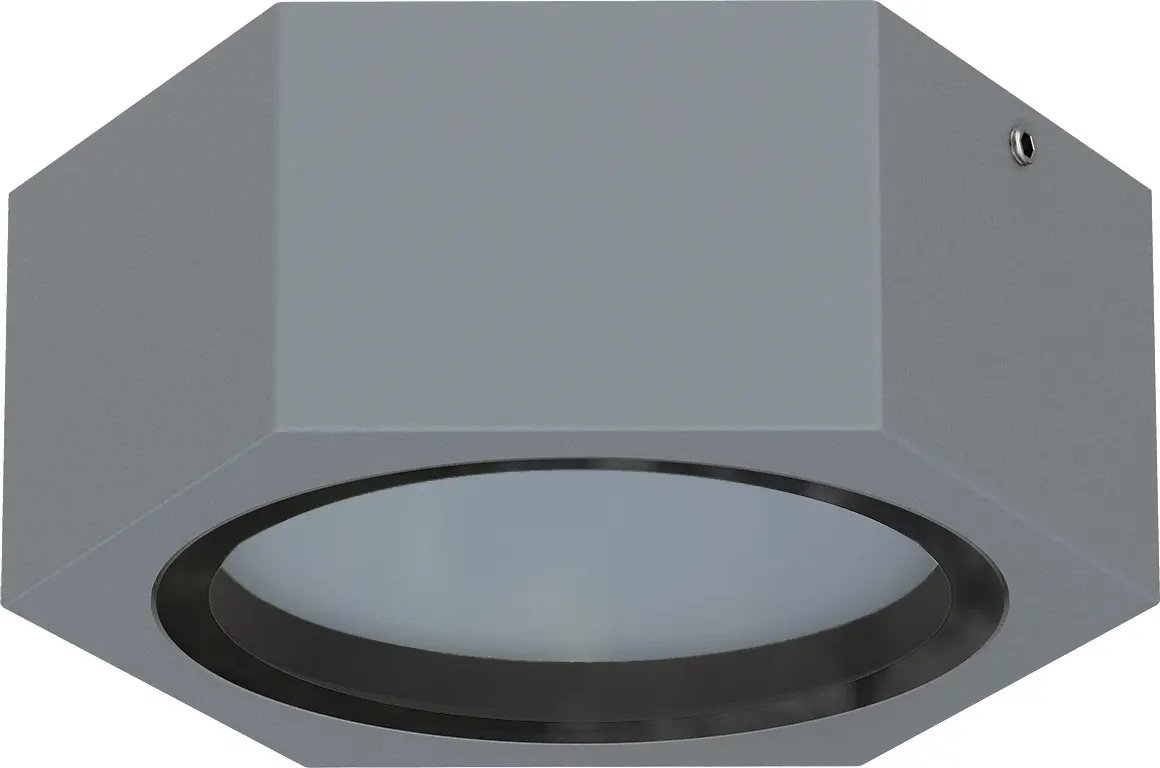 

Уличный накладной светильник Favourite Fantum 4666-1U