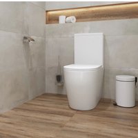 Унитаз напольный Lauter Rimless 21D2202 + гигиенический душ Rainix 21LT7713MW