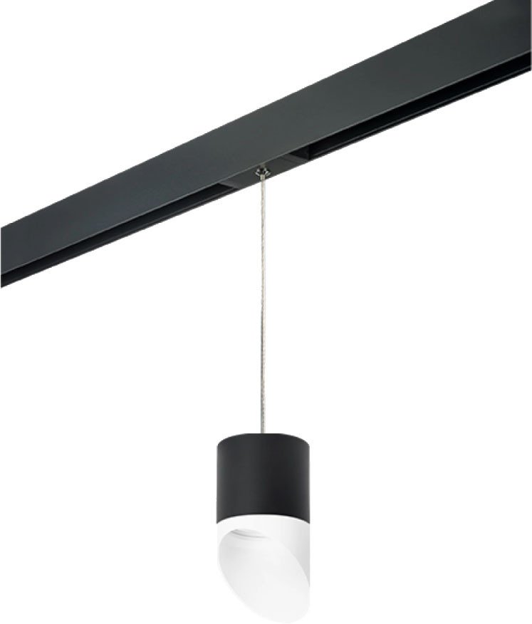 

Трековый светильник Lightstar Rullo PRORP348786