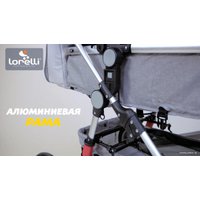 Универсальная коляска Lorelli Lora 2021 (2 в 1, luxe red elephants)