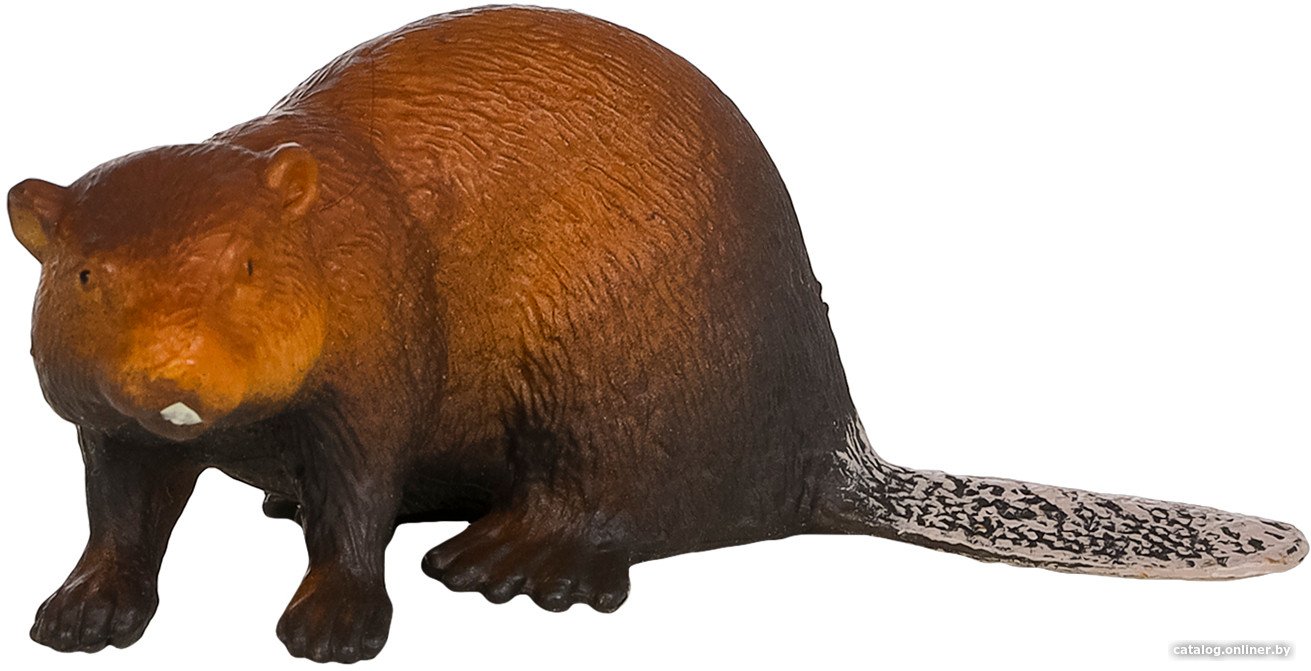 Фигурка Masai Mara Мир диких животных. Бобер MM211-175