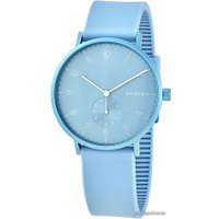 Наручные часы Skagen SKW6509