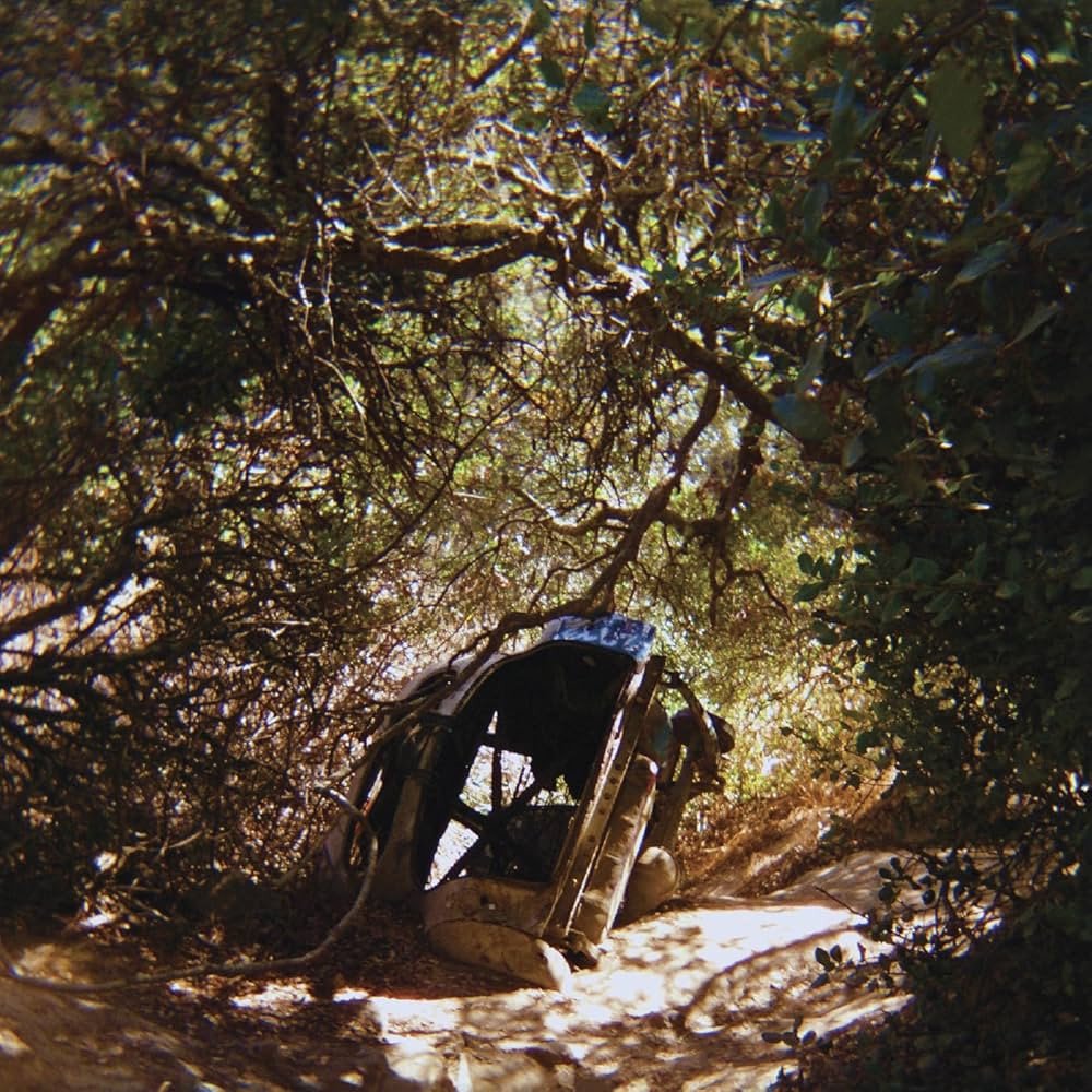 Виниловая пластинка Ty Segall - Possession